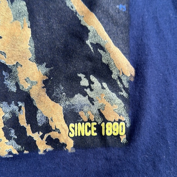 Creative Action Network Womens T Shirt Medium Sequoia National Park Soft size L - Picture 5 of 7